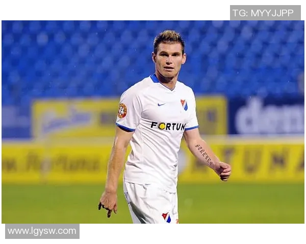 亚布洛与雷恩对决前瞻分析及比赛结果预测详解